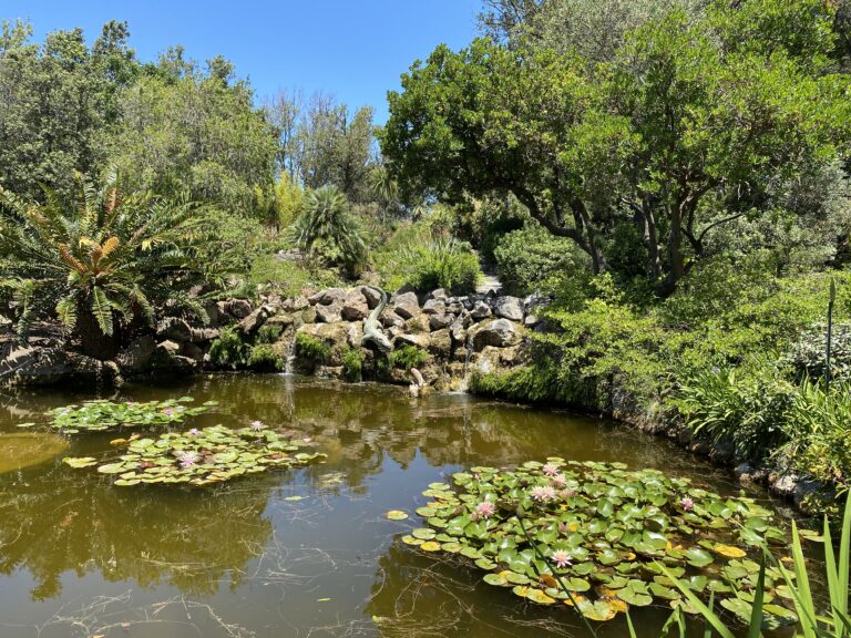 GIARDINI LA MORTELLA, ISCHIA: DOPPIO CONCERTO DI PIANOFORTE E APERTURA STRAORDINARIA