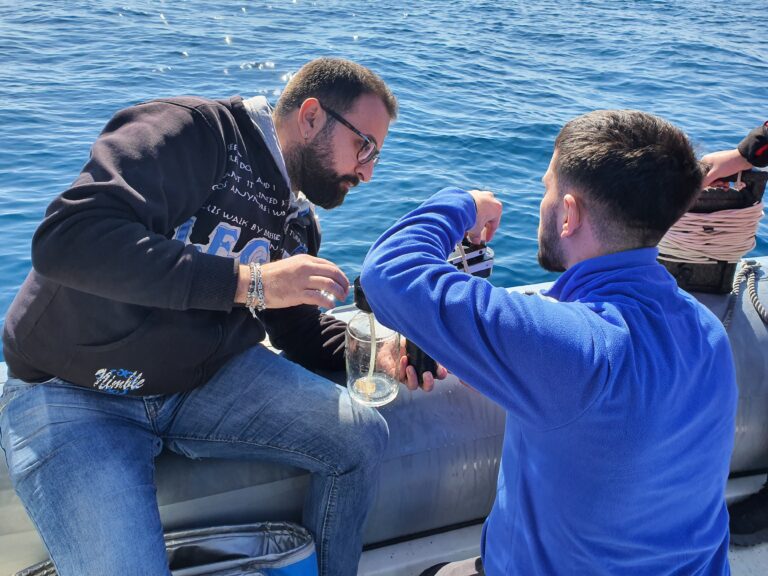 UNIVERSITÀ ITALIANE SÍ RIUNISCONO AD ISCHIA PER PROMUOVERE L’ECOLOGIA DELLE COSTE CALABRESI