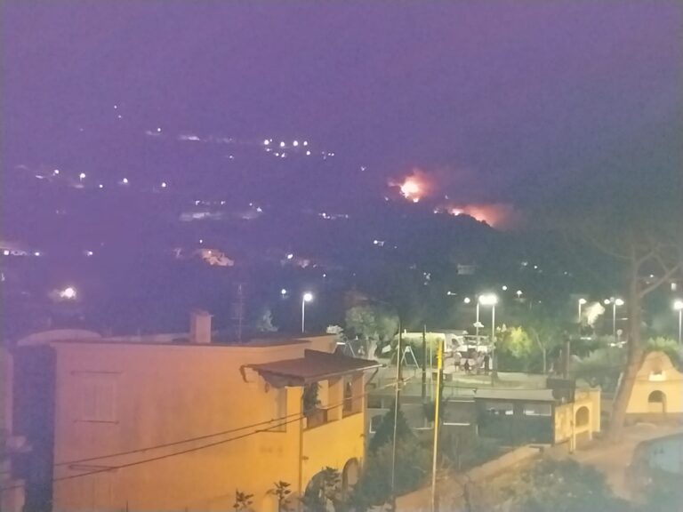ANCORA FIAMME, VASTO INCENDIO AL CIGLIO