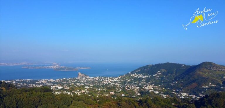 ANDAR PER CANTINE 2023: LO SPECIALE IN ONDA GIOVEDÌ 12 OTTOBRE ALLE 21 SUL CANALE 80 