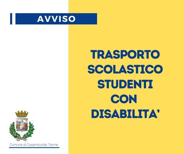 CASAMICCIOLA TERME TRASPORTO SCOLASTICO STUDENTI CON DISABILITA’