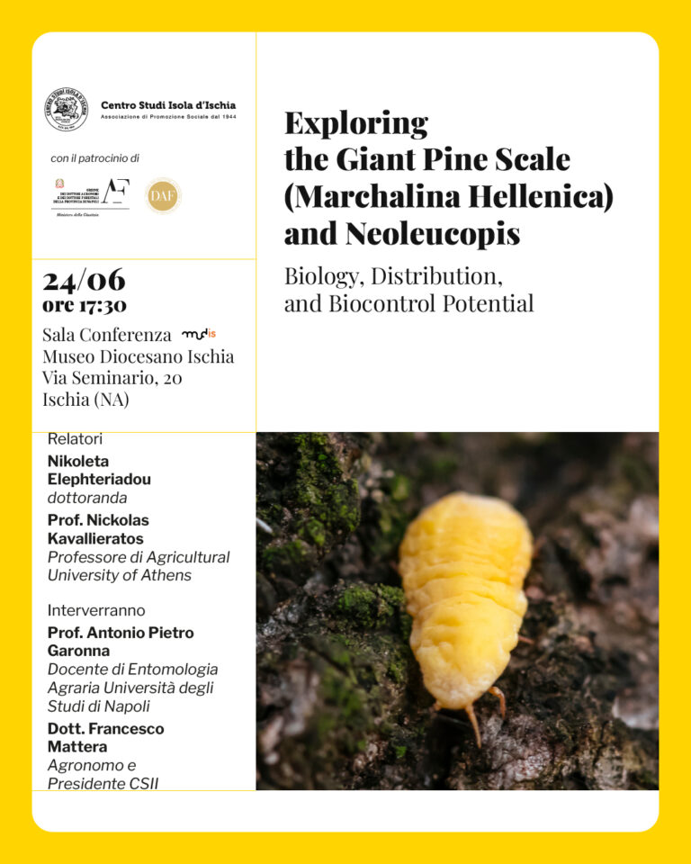 Ischia laboratorio ambientale contro la Marchalina Hellenica che distrugge i pini 