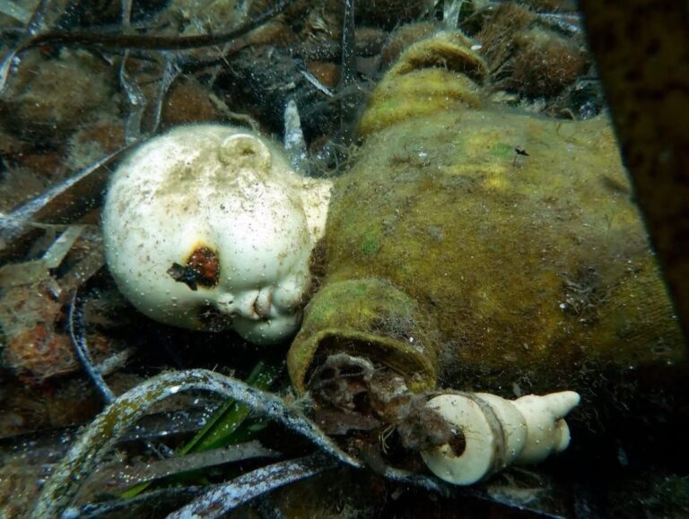 Non è un film horror, è il mare che non dimentica: pulizia dei fondali alla baia del Castello Aragonese a Ischia