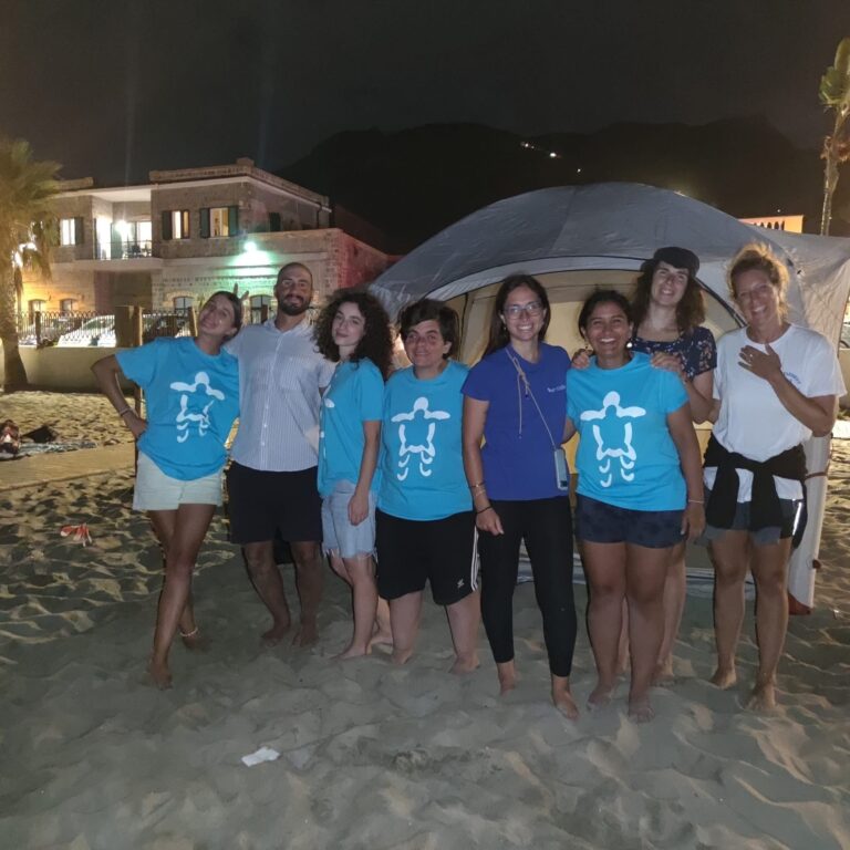 Forio. Attesa e meraviglia alla Chiaia: il nido di tartarughe è pronto alla schiusa