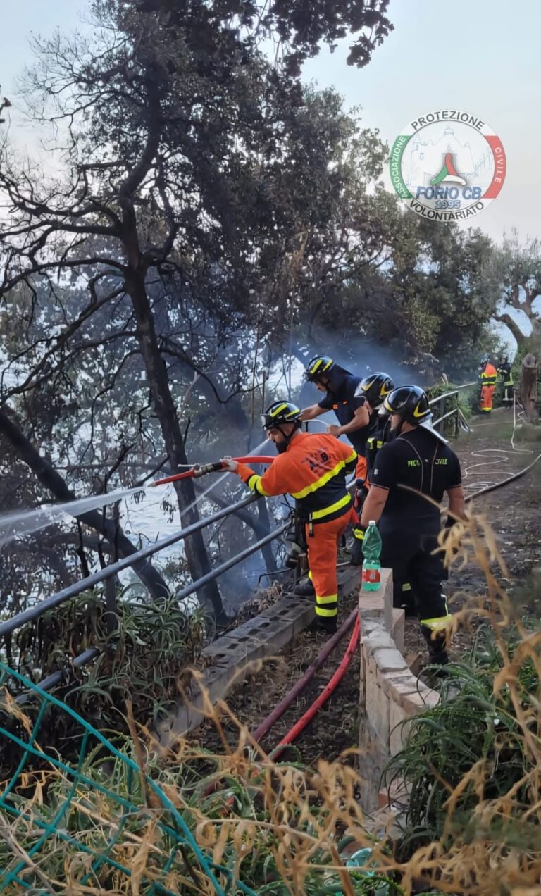 Incendio a Punta Pizzaco: la Forio CB in prima linea per supportare Procida
