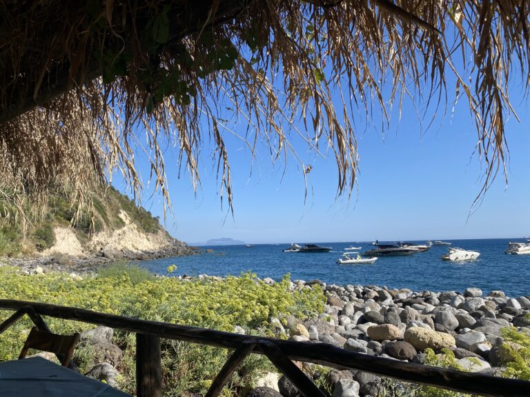 Isola d’Ischia: Il Consiglio di Stato Accoglie il Ricorso del Gestore del Nido del Falco