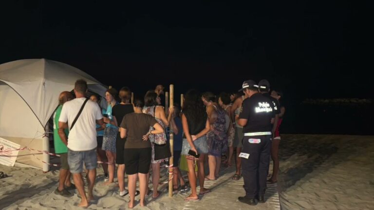 EMOZIONI SOTTO LE STELLE ALLA CHIAIA: 19 TARTARUGHINE NATE NELLA NOTTE DI FERRAGOSTO