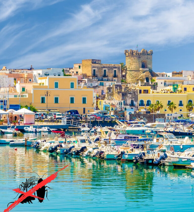 Forio: interventi di derattizzazione, disinfestazione e disinfezione sul territorio