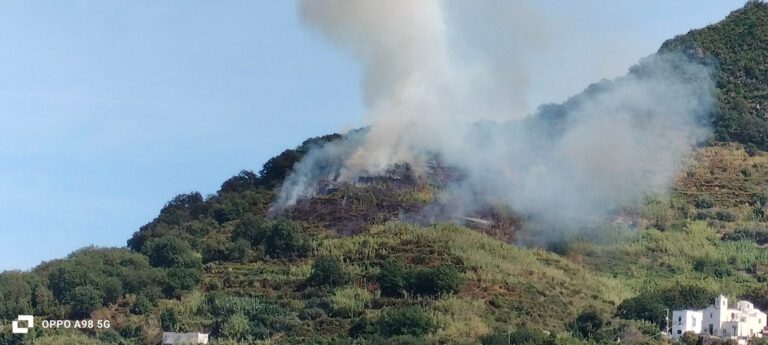 Ischia – Incendio a Pietra Marina, fiamme visibili da Campagnano