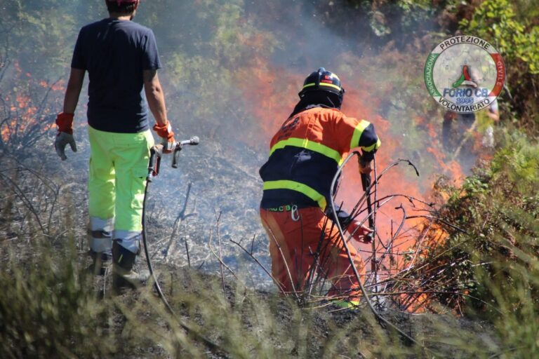 Ischia in fiamme: interventi straordinari contro gli incendi nei boschi di Serrara Fontana.