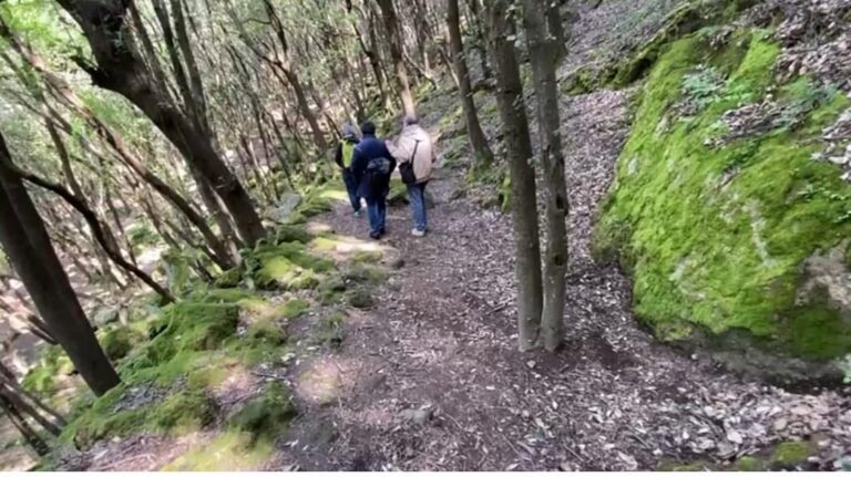 Casamicciola punta sul verde: approvato il progetto da 2,5 milioni per il Bosco della Maddalena