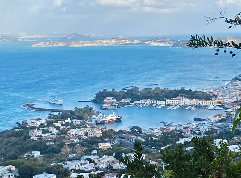 Ischia, Piricelli chiede consiglio comunale urgente: “Ripristinare le corse marittime soppresse”