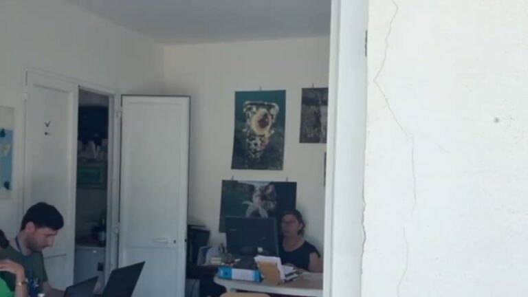 REGNO DI NETTUNO, NOMINATA DAL MINISTRO LA NUOVA COMMISSIONE