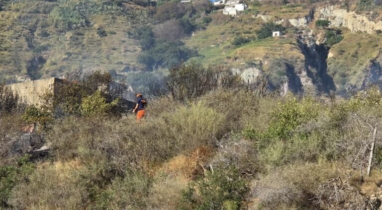 Ischia in fiamme: incendio minaccia il borgo del Ciglio, mobilitazione generale a Serrara Fontana