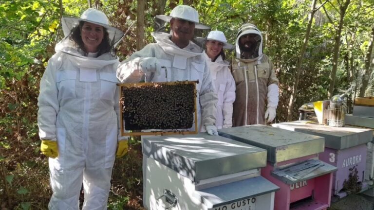 NISTRI E IL MIELE SOLIDALE: LA DOLCEZZA DIVENTA AIUTO CONCRETO