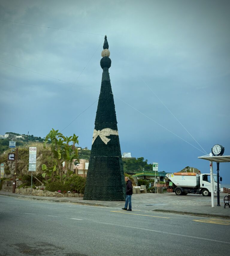 Lacco Ameno: il Natale prende forma con il maestoso albero