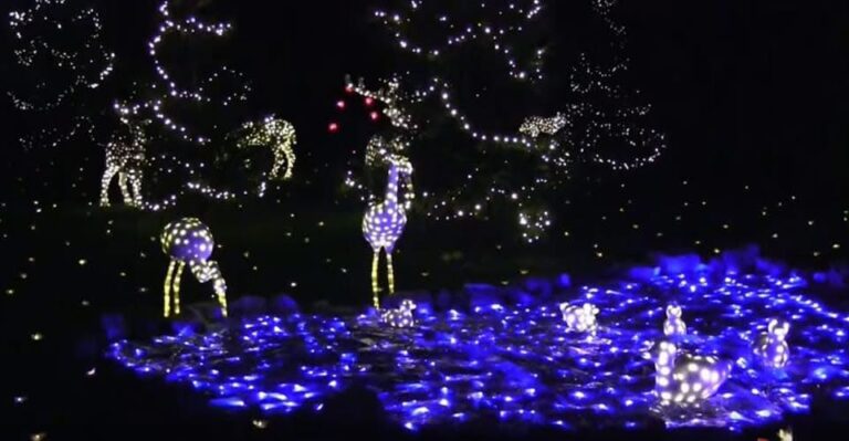 Natale a Ischia, sabato 29 novembre Switch On a Piazza degli Eroi: modifiche alla viabilità