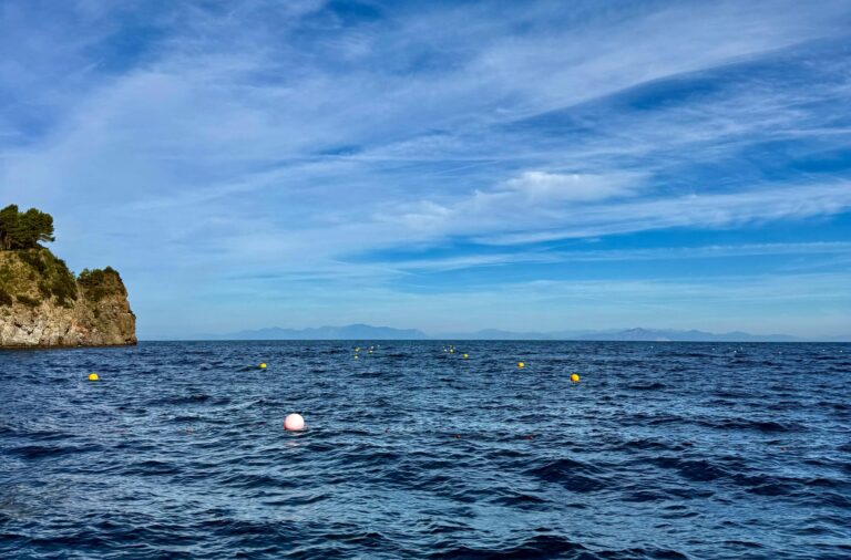 Campi boe, parte dal mare di Lacco Ameno il progetto del Regno di Nettuno
