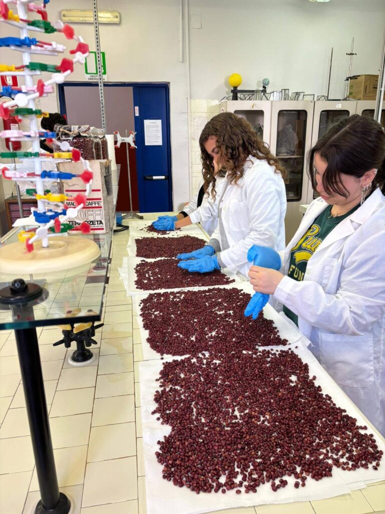 Al “Mattei” di Casamicciola nasce il progetto per salvare il fagiolo zampognaro: gli studenti diventano custodi della biodiversità