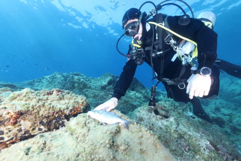 Ischia, reti illegali a Sant’Angelo in area marina protetta: fondali di nuovo liberi