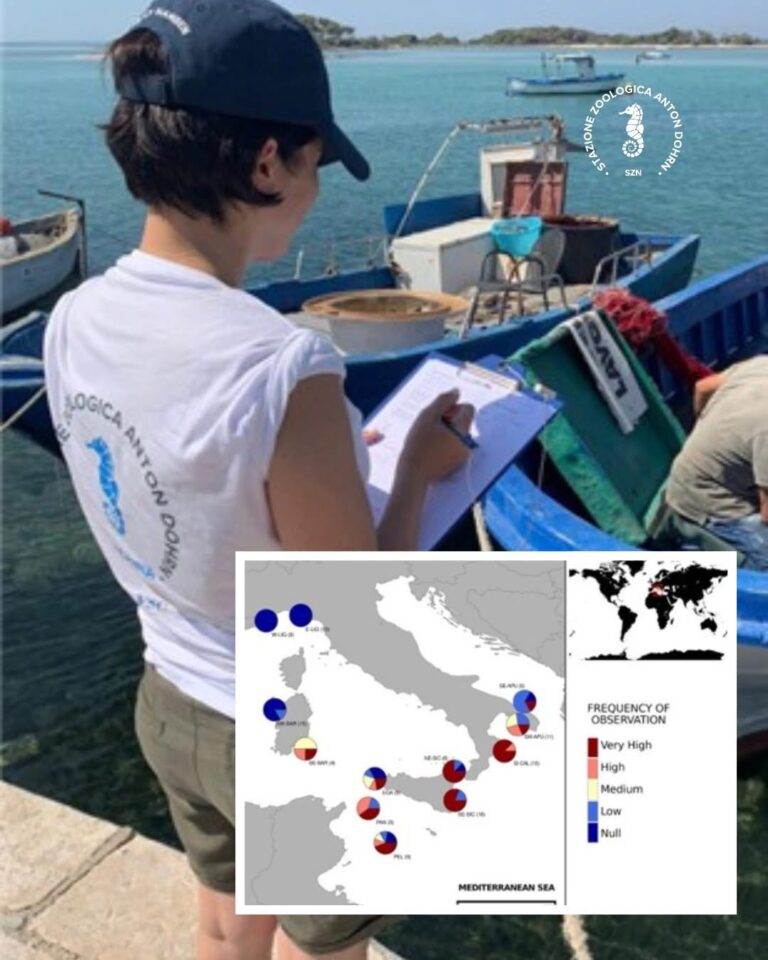 Mediterraneo sotto pressione: il vermocane minaccia la piccola pesca