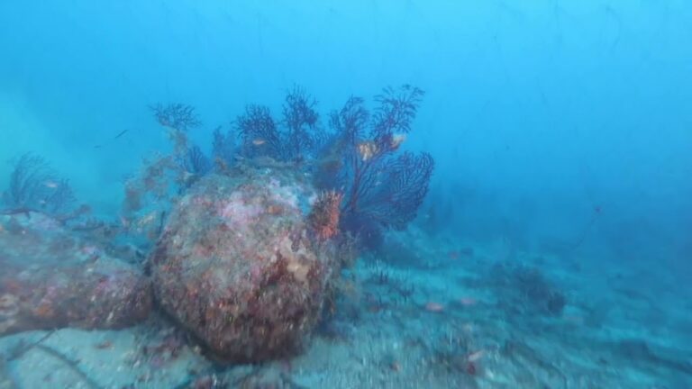 ISCHIA, PESCA ILLEGALE A S. ANGELO: SEQUESTRATE RETI E NASSE IN AREA PROTETTA