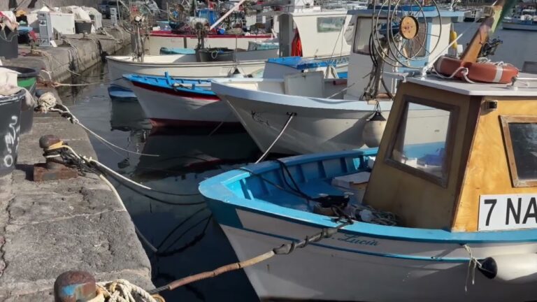 FORIO: NUOVA DELIBERA PER IL MOLO BORBONICO