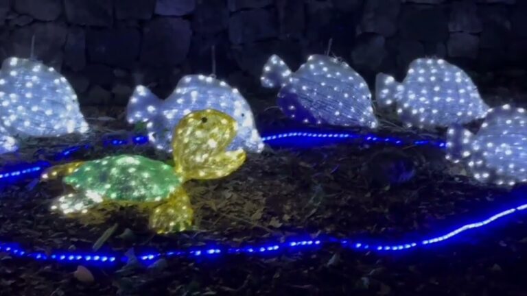 IL NATALE A ISCHIA SI ACCENDE DI MAGIA DAL 29 NOVEMBRE. ATTESA PER IRENE GRANDI