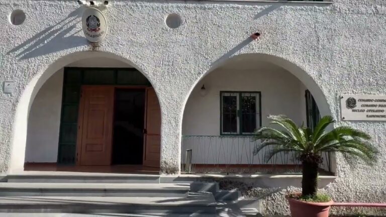 DOPPIO FURTO E DOPPIO ARRESTO, 29ENNE FINISCE IN COMUNITA’