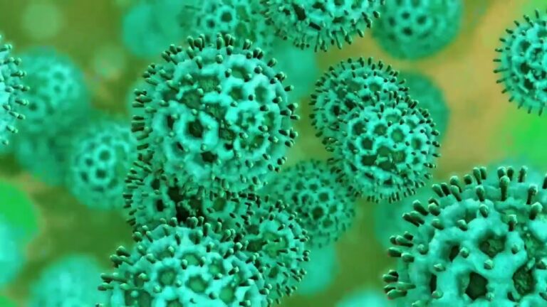 VERSO IL PICCO INFLUENZALE, PREOCCUPAZIONE PER LA VARIANTE K