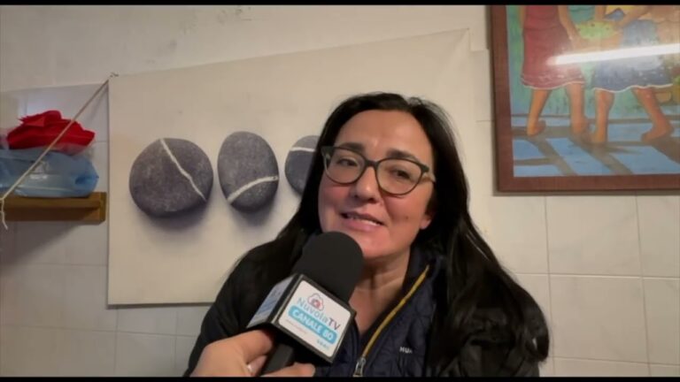 Lacco Ameno, abbandona il cane in strada nonostante il microchip: denunciato. Nunzia Di Iorio cerca una casa al piccolo