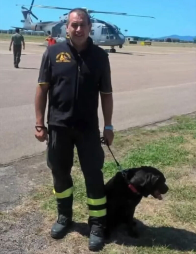 Addio a Rocky, il cane eroe dei Vigili del Fuoco: partecipò anche alle ricerche post terremoto di Ischia