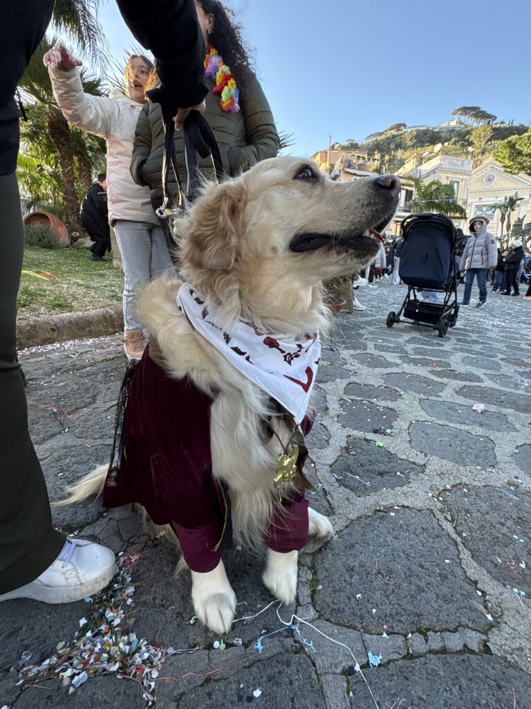 Speciale Carnevale: l’isola di Ischia si accende di colori. Questa sera ore 20:30 canale 80 