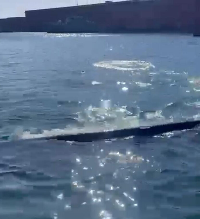 Balenottera nel porto di Napoli: scattano le operazioni per riportarla al largo