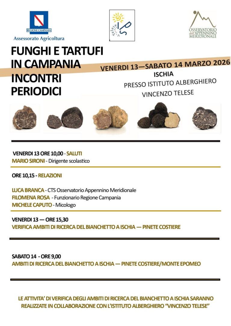 Alla scoperta del Tartufo Bianchetto: incontri, escursioni e ricerca sul campo a Ischia