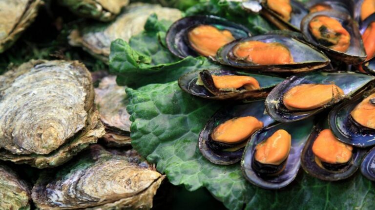 Ischia introduce il divieto di frutti di mare crudi per l’aumento dei casi di Epatite A