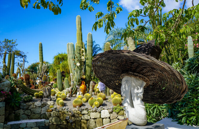 Forio – Giardini Ravino, si alza il sipario: natura, arte e paesaggio inaugurano la stagione 2026