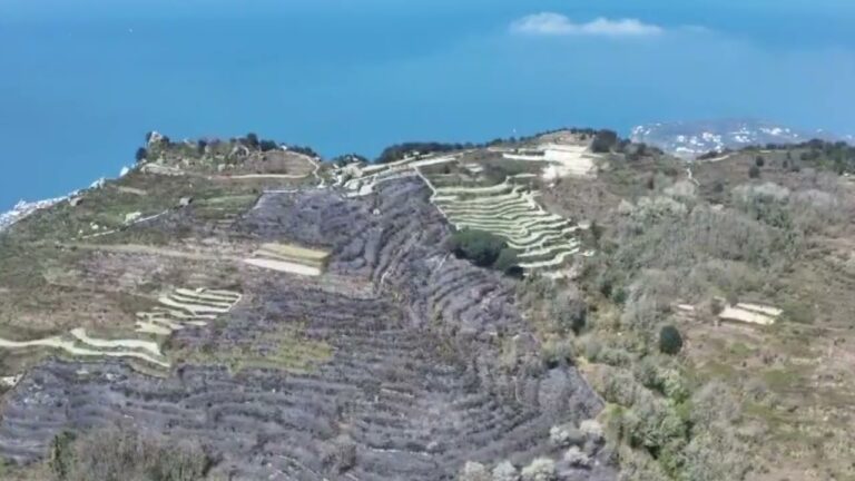 INCENDIO ALL’EPOMEO, DOPO IL ROGO SPUNTANO I TERRAZZAMENTI